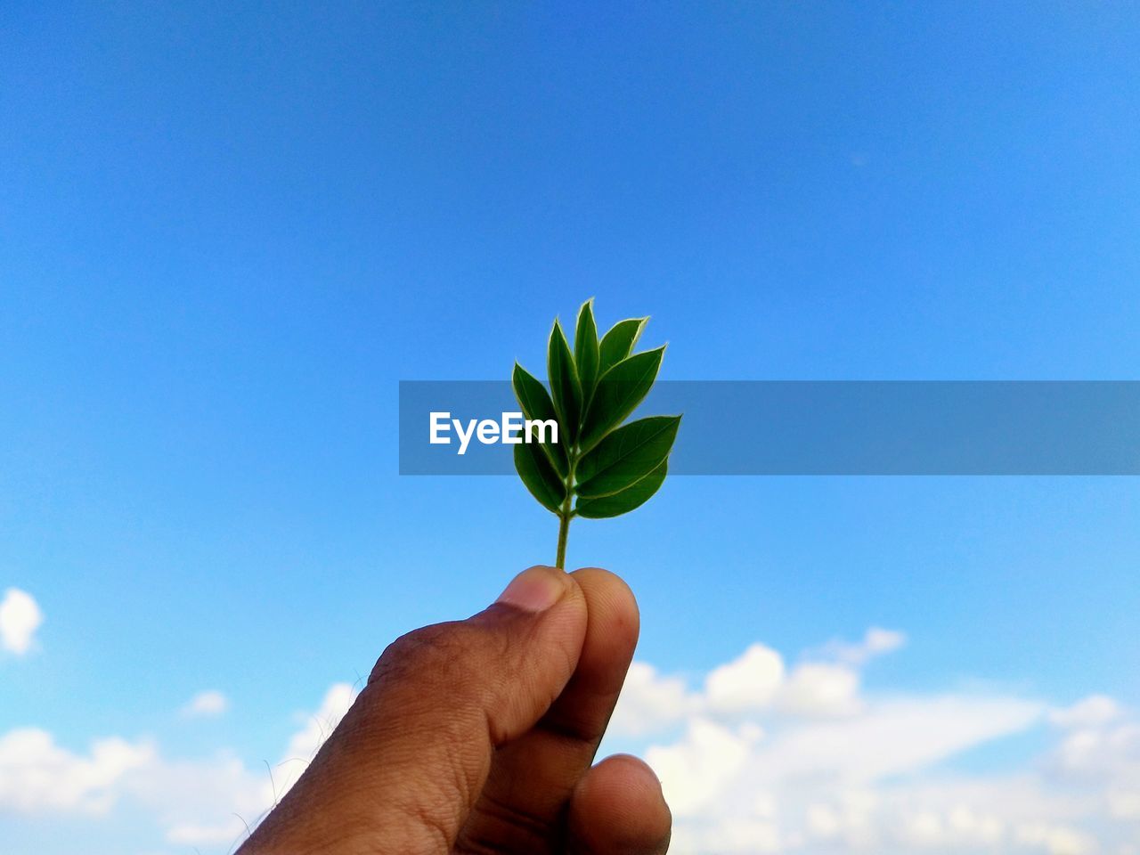 Close-up of hand holding leaf against blue sky