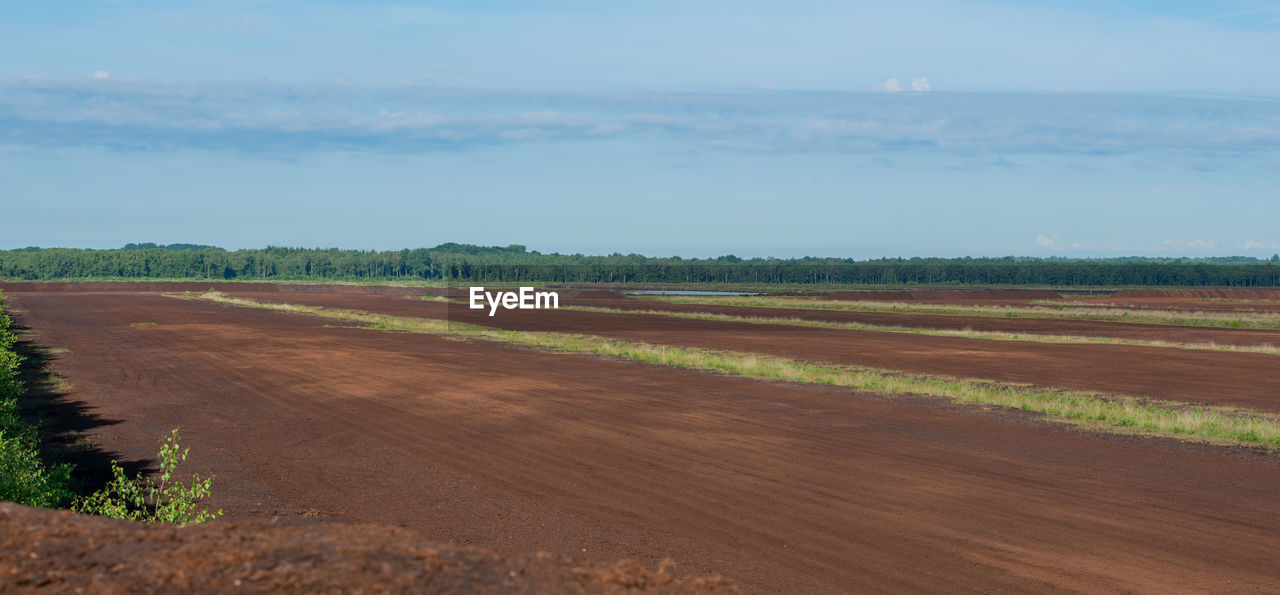 Peat extraction area in a bog landscape in the sky bog near hamburg