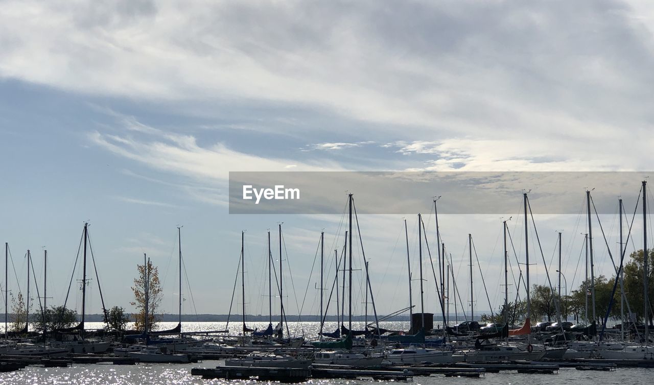 SAILBOATS IN HARBOR