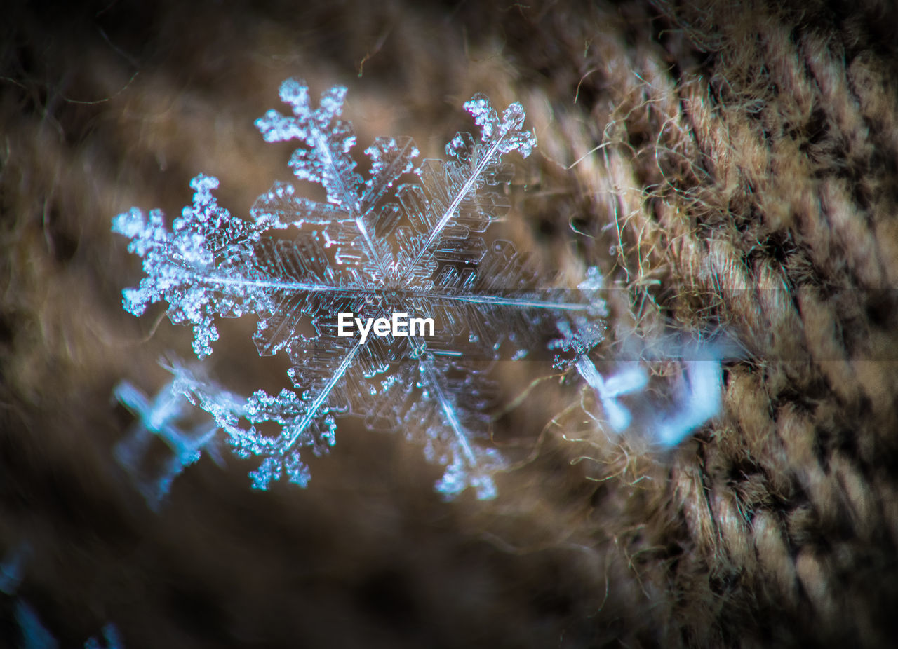 FULL FRAME SHOT OF SNOWFLAKES ON FROZEN SURFACE
