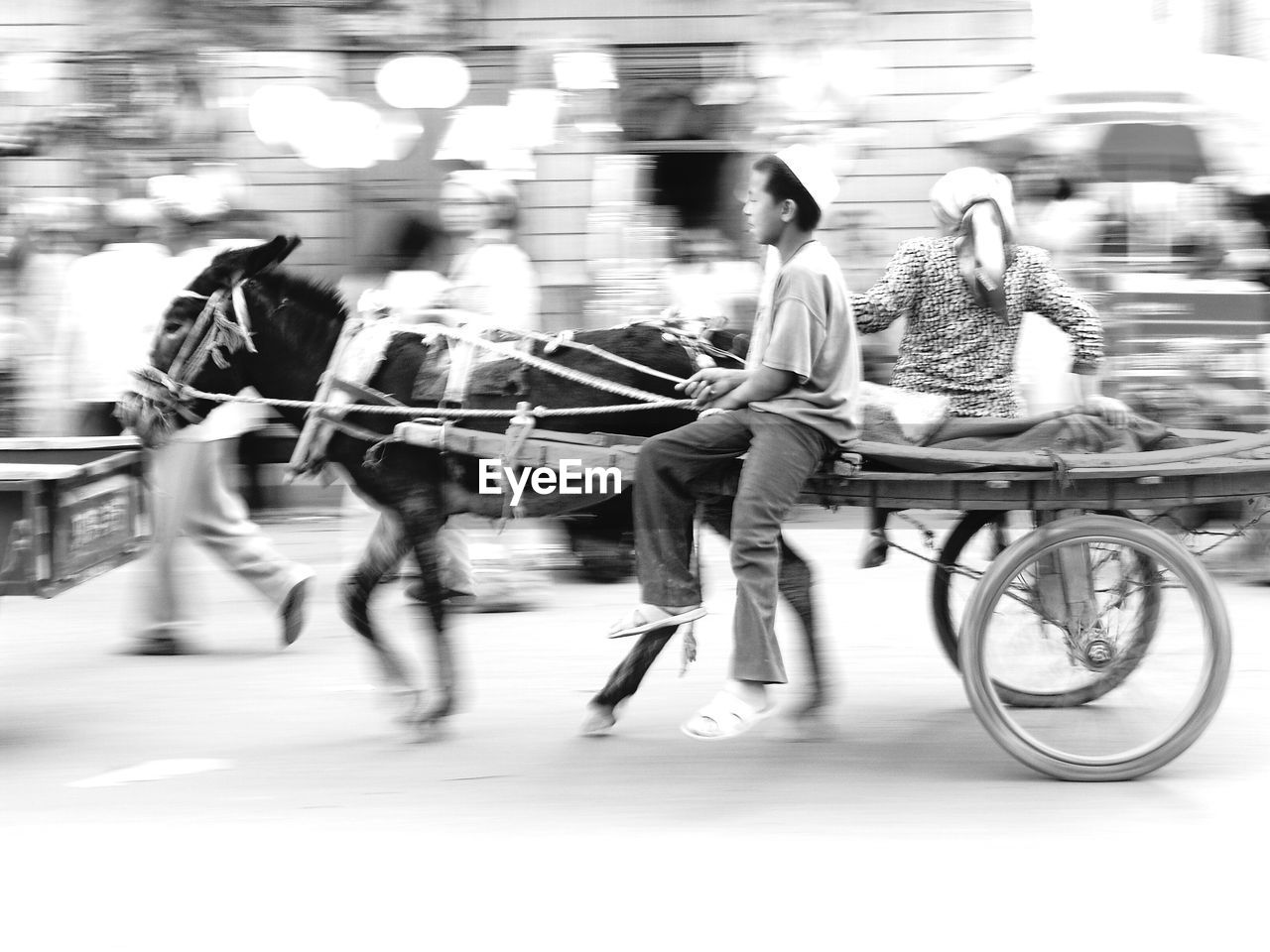 People riding on horse cart in city