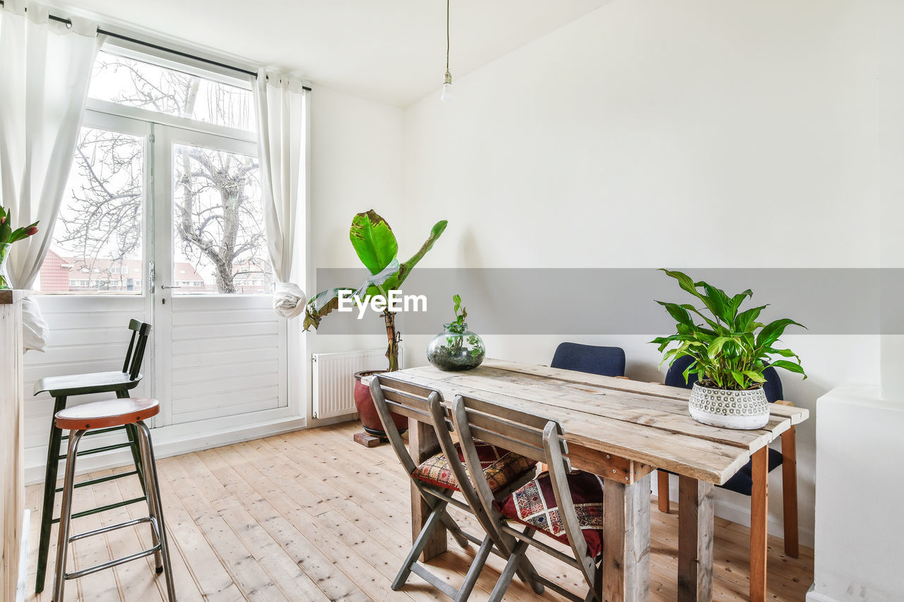 Potted plants on table at home