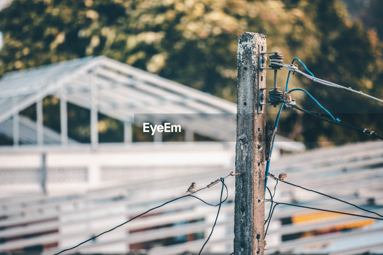 CLOSE-UP OF ROPE ON WOODEN FENCE