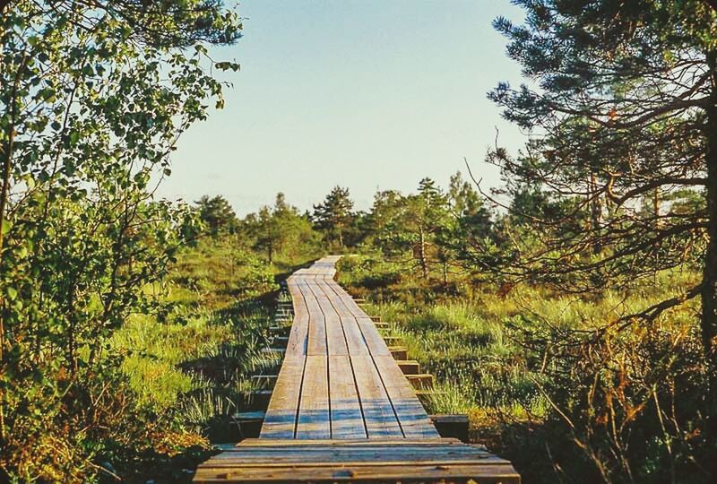 VIEW OF FOOTBRIDGE OVER RIVER