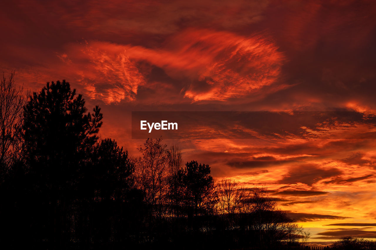 sky, tree, cloud, beauty in nature, sunset, plant, red sky at morning, scenics - nature, afterglow, nature, silhouette, orange color, tranquility, no people, dramatic sky, environment, tranquil scene, landscape, dawn, outdoors, land, idyllic, evening, non-urban scene, forest, dark, atmospheric mood