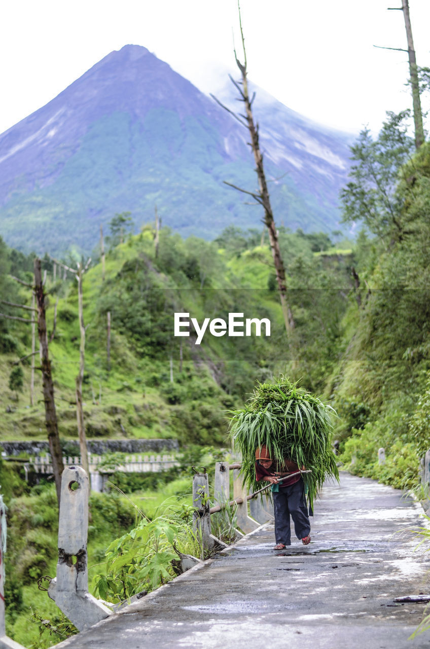 Rear view of woman walking on road with merapi mountain view