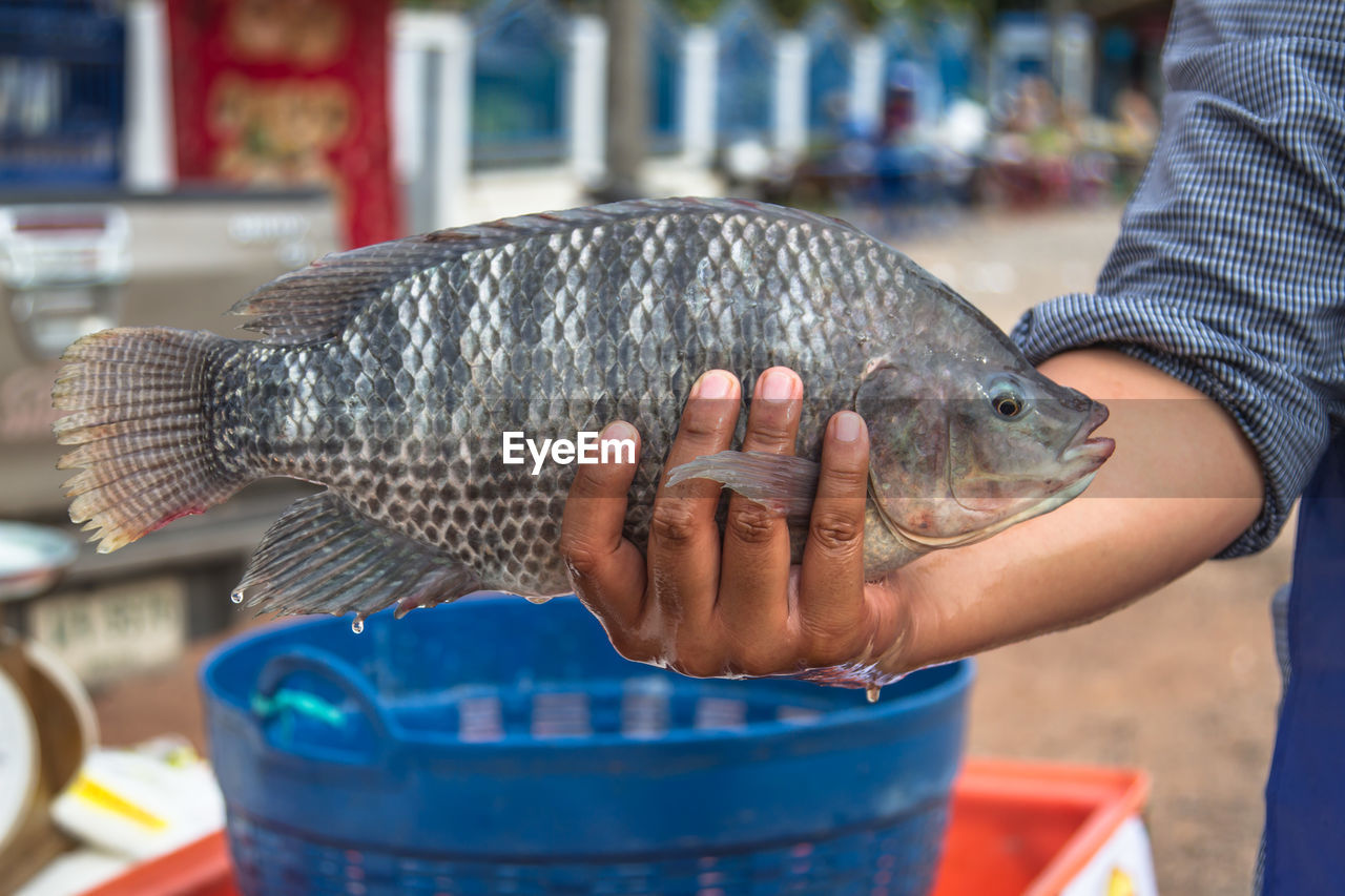 Cropped hand of vendor holding fish at market