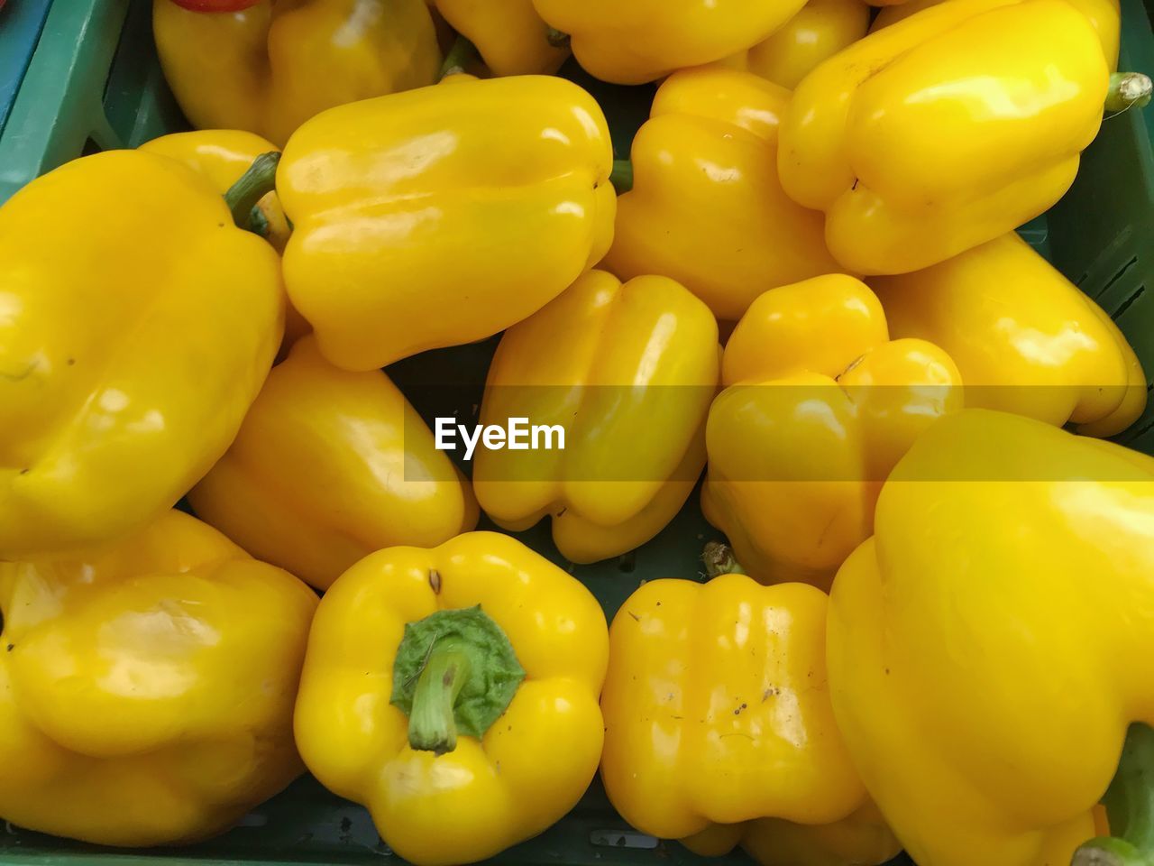 CLOSE-UP OF YELLOW BELL PEPPERS FOR SALE