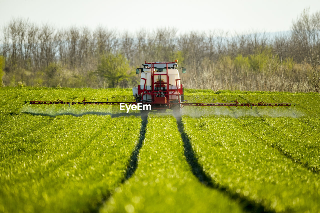 Tractor spraying crops in green farm