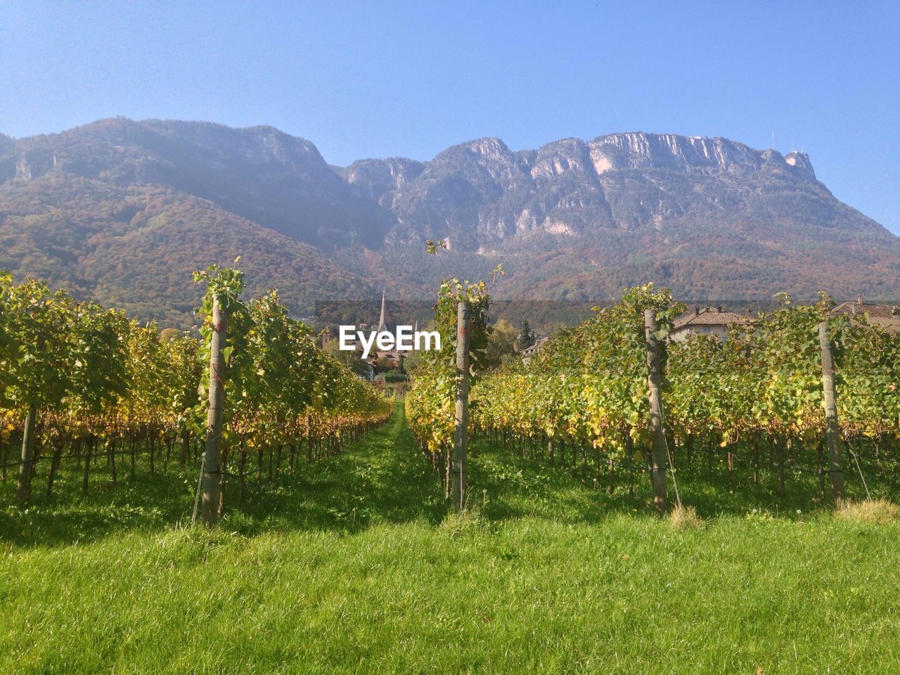 SCENIC VIEW OF FIELD AGAINST MOUNTAIN RANGE