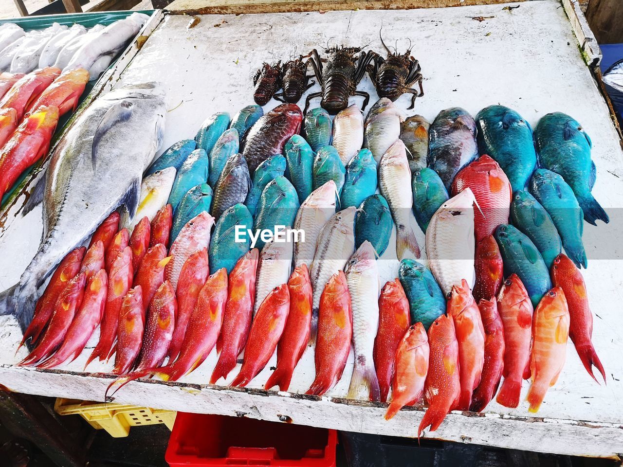 High angle view of fish for sale at market stall