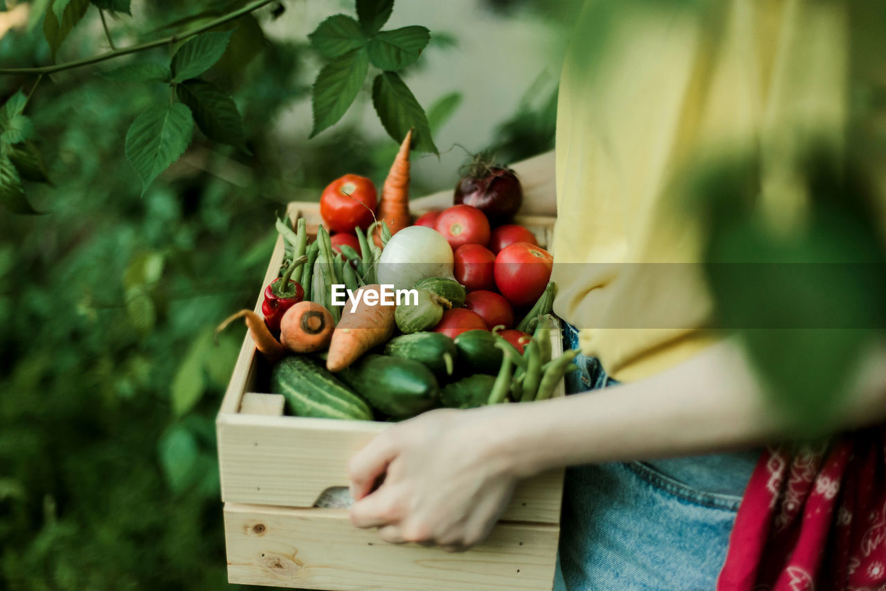 Midsection of woman holding vegetables in crate