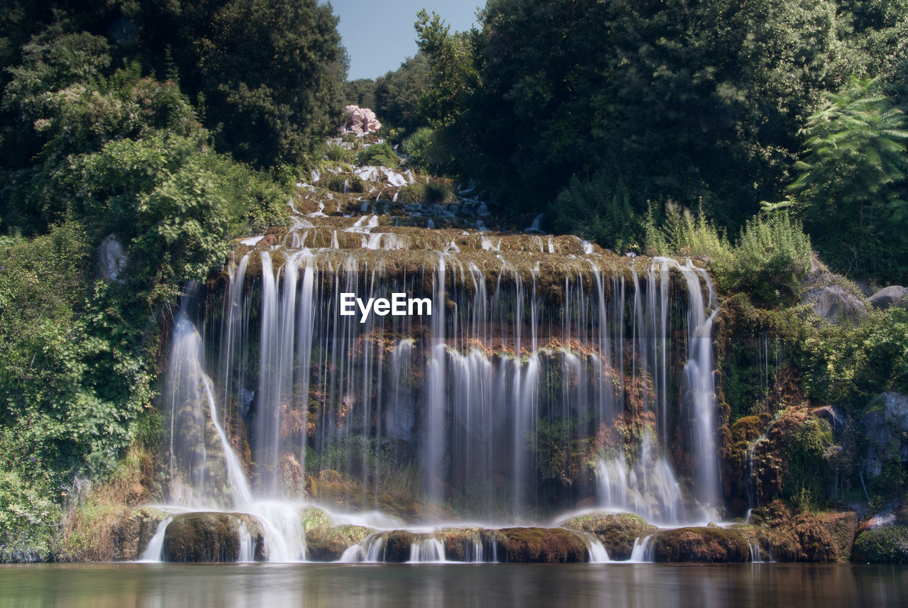 View of waterfall in forest