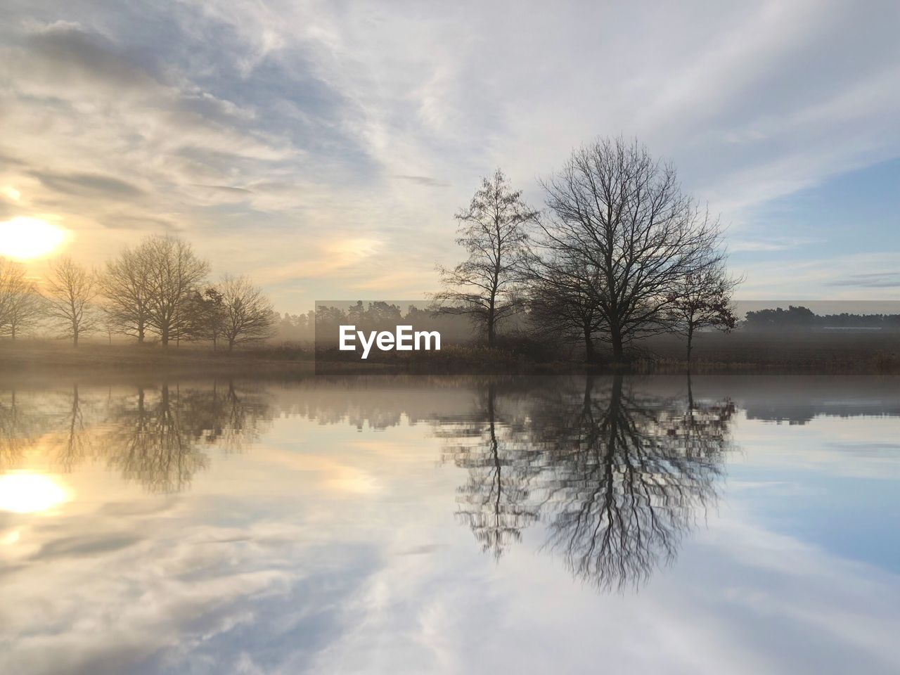 REFLECTION OF TREE IN LAKE DURING SUNSET