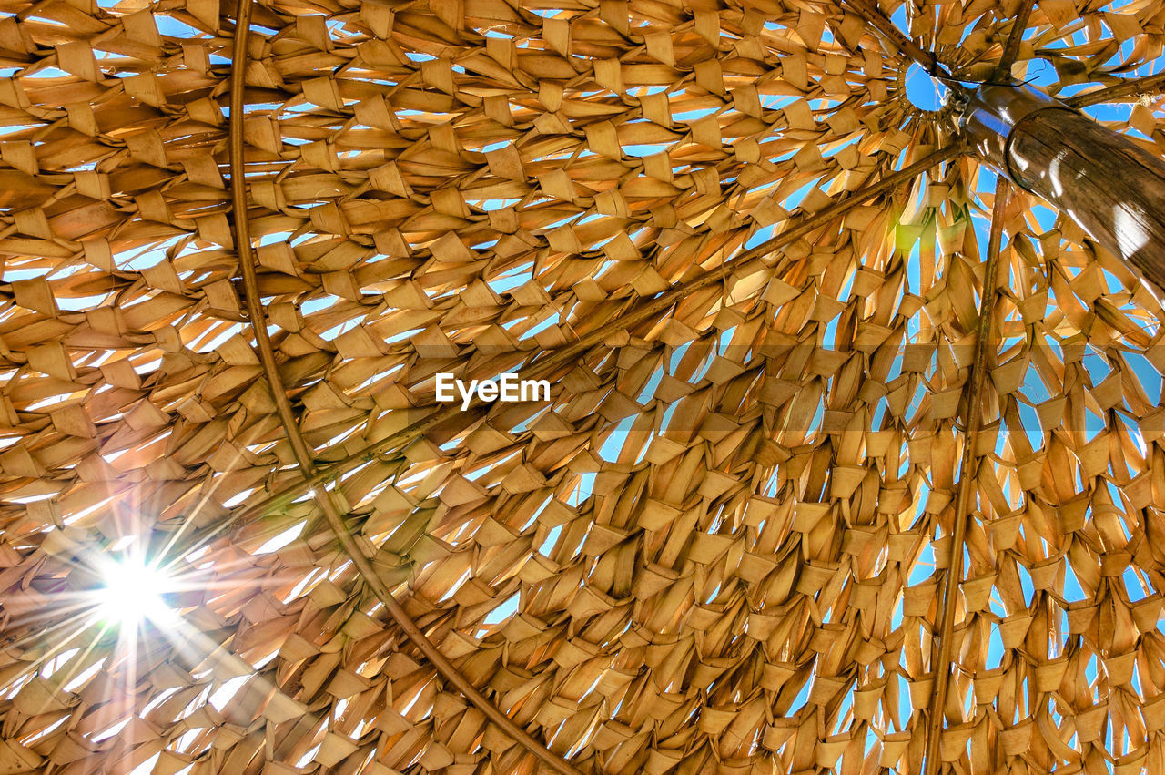 Sunlight streaming through thatched roof of beach umbrella