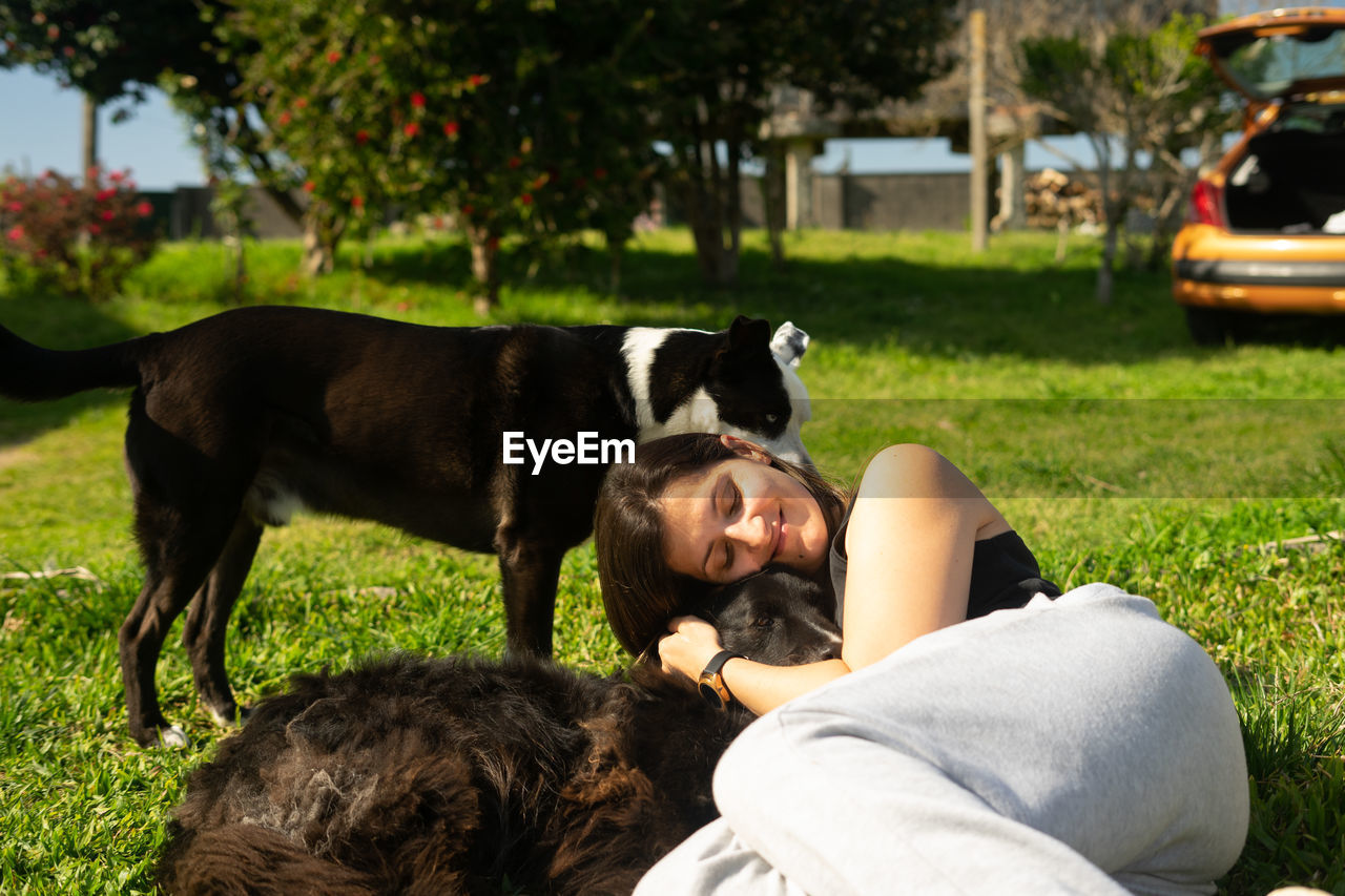 portrait of dog sitting on field