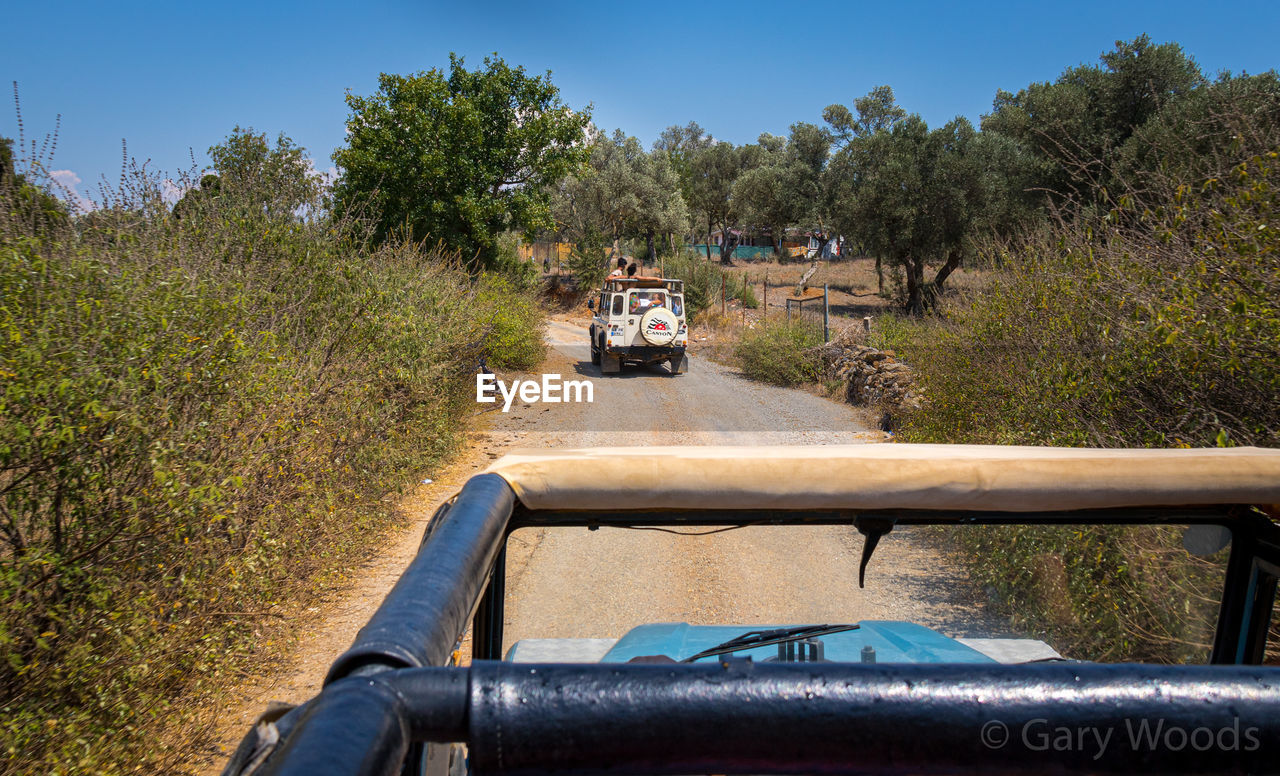 CAR ON ROAD AMIDST TREES