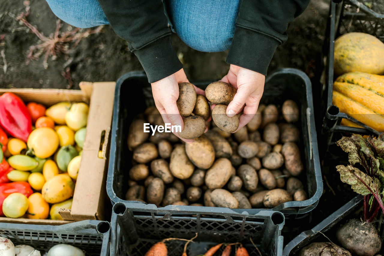 Midsection of woman holding potatoes