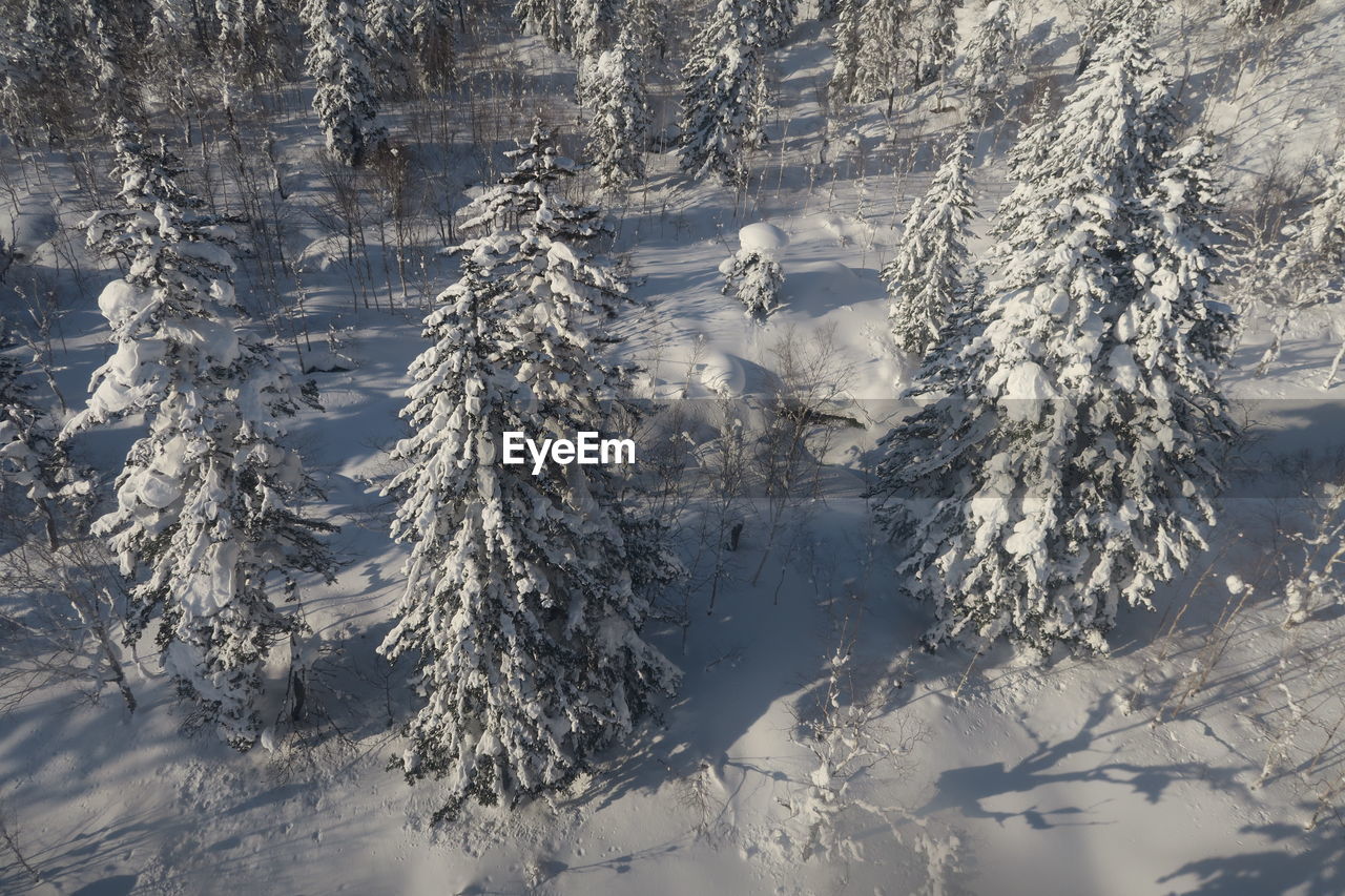 Scenic view of snowcapped mountain