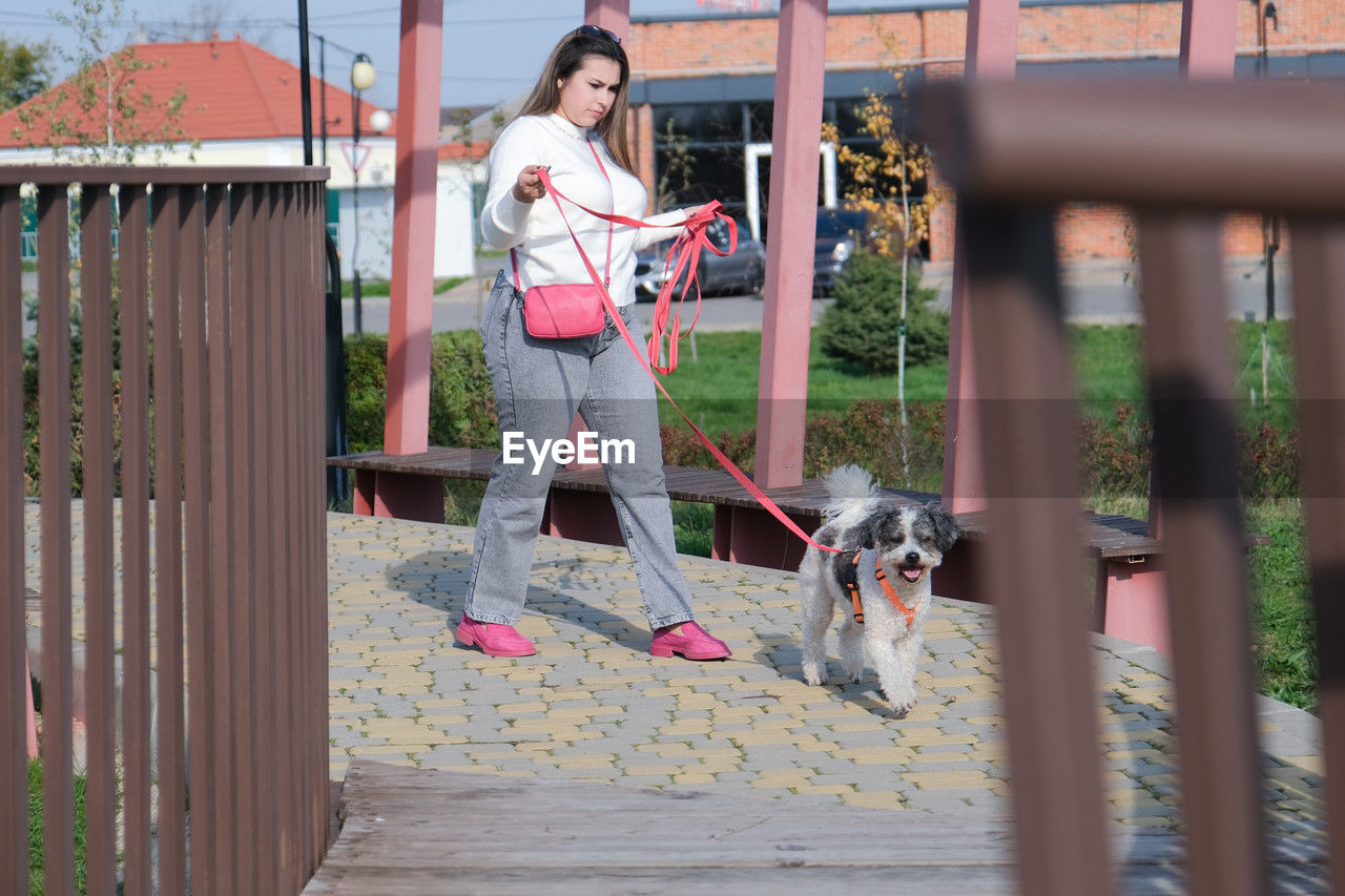 dog, women, one person, full length, adult, lifestyles, architecture, casual clothing, young adult, one animal, leisure activity, pet, domestic animals, female, carnivore, spring, day, canine, animal themes, railing, fence, animal, built structure, nature, happiness, playground, smiling, mammal, emotion, standing, child, outdoors, front view, clothing, holding, building exterior, person, plant
