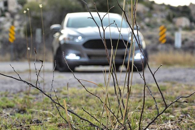 CLOSE-UP OF CAR ON ROAD