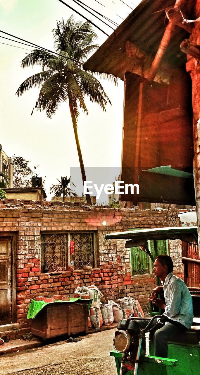 PEOPLE WORKING ON PALM TREE