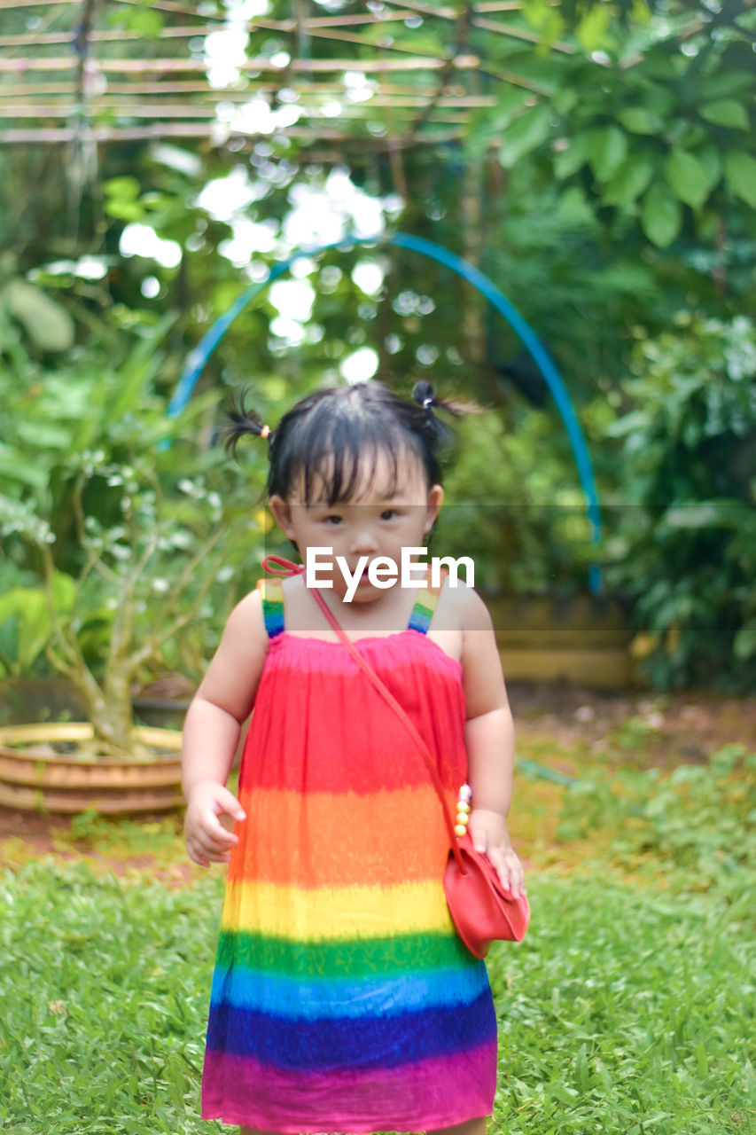 childhood, child, one person, green, plant, grass, smiling, clothing, toddler, happiness, nature, front view, person, women, female, dress, cute, standing, portrait, emotion, innocence, flower, casual clothing, black hair, human face, day, outdoors, lawn, lifestyles, front or back yard, looking at camera, three quarter length, multi colored, bangs, fun, baby, leisure activity, yellow, cheerful, full length, tree, focus on foreground