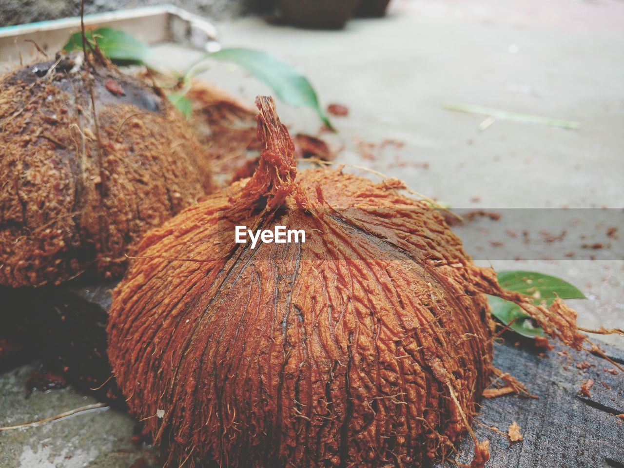 Close-up of coconut shells on cutting board