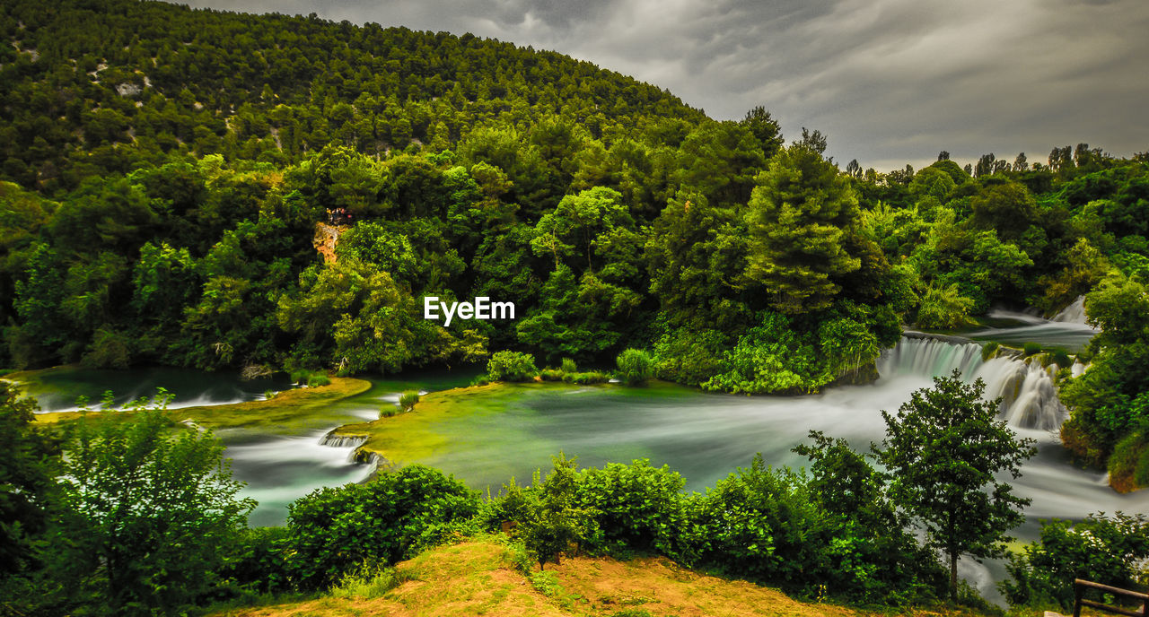 Scenic view of lake in forest against sky