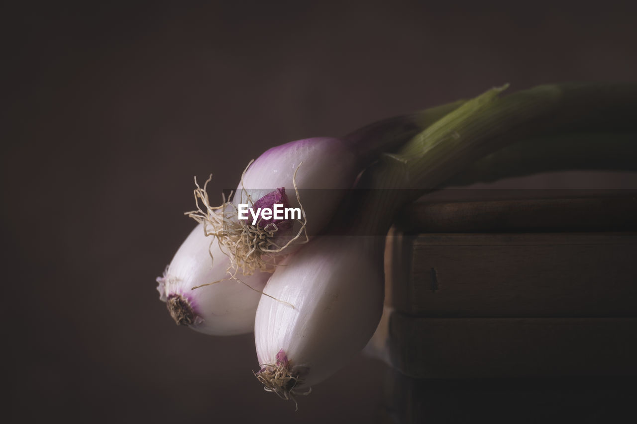 Three freshly picked red tropea onions laid on a wooden table in a rustic setting