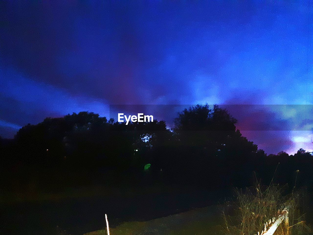 LOW ANGLE VIEW OF SILHOUETTE TREES AT NIGHT