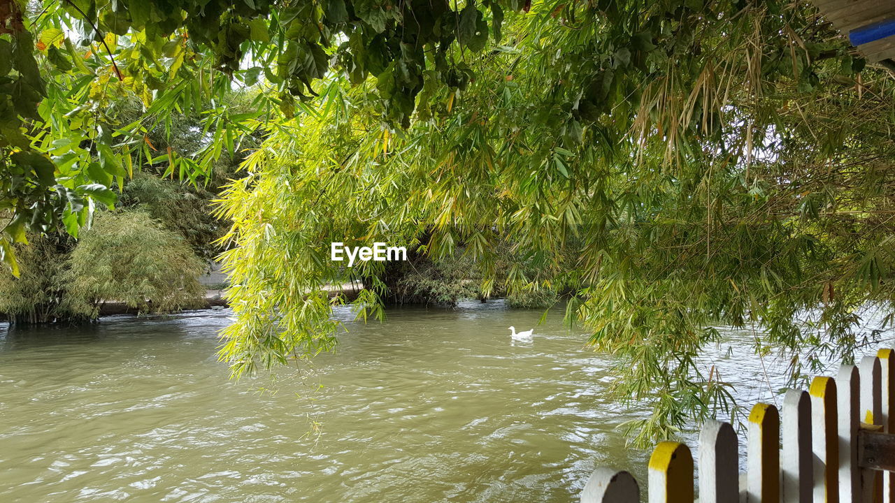 SCENIC VIEW OF LAKE