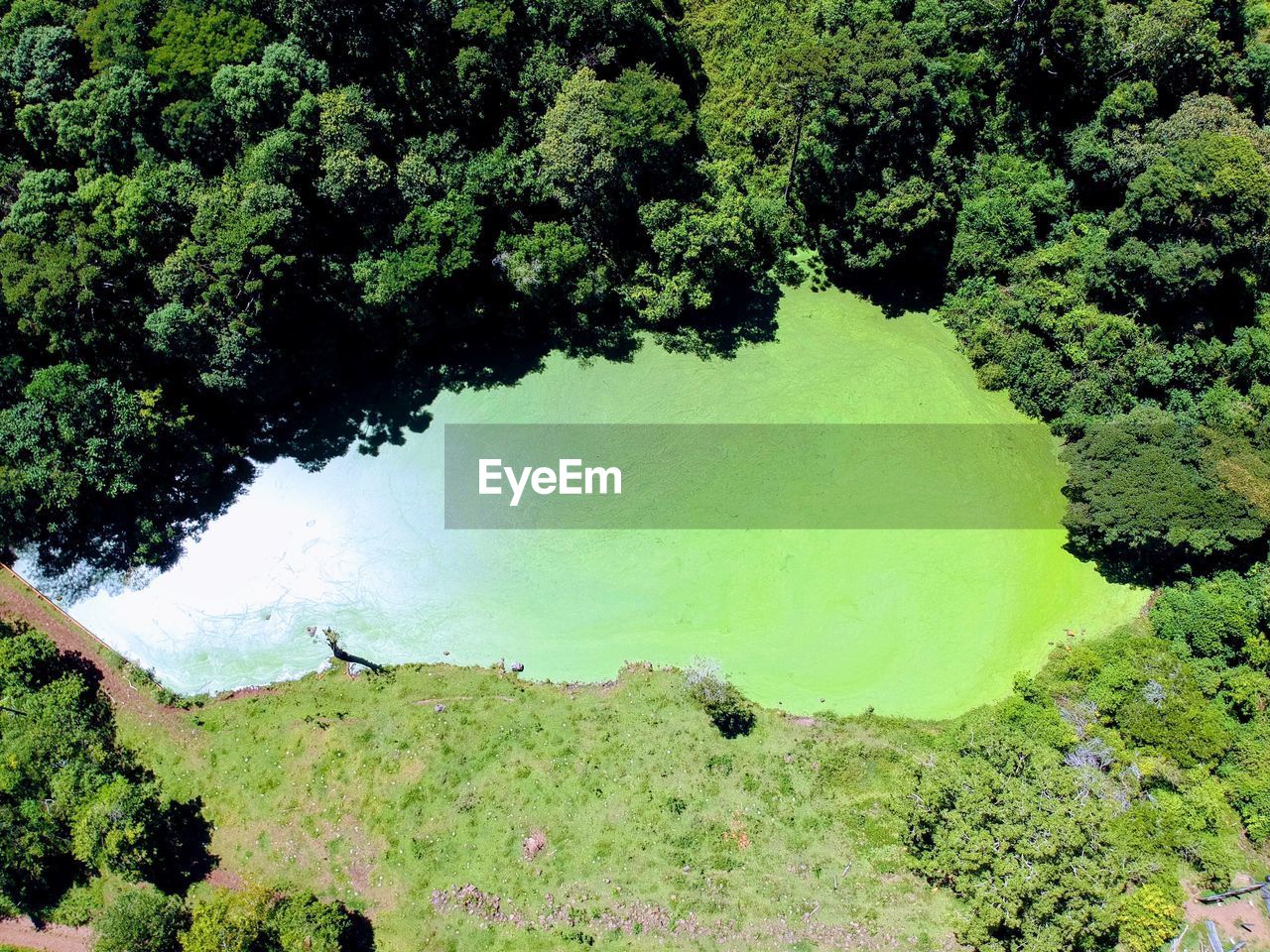 HIGH ANGLE VIEW OF LAKE BY TREES