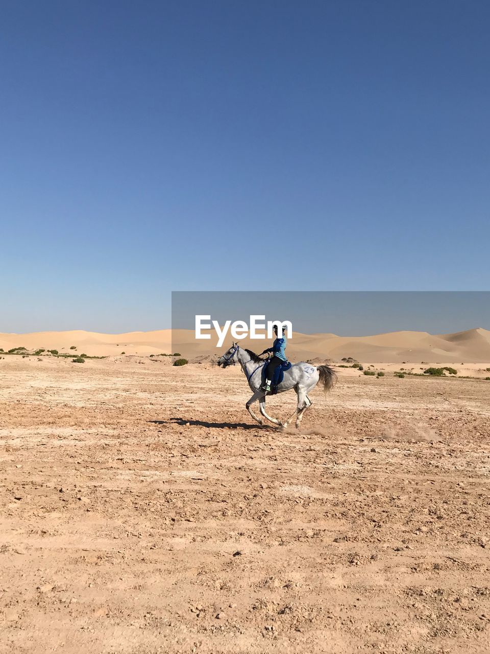 Man riding horse on desert against clear blue sky