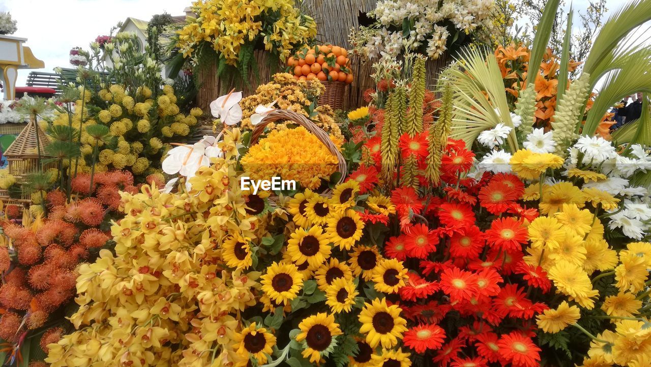 MULTI COLORED FLOWERING PLANTS AT MARKET STALL