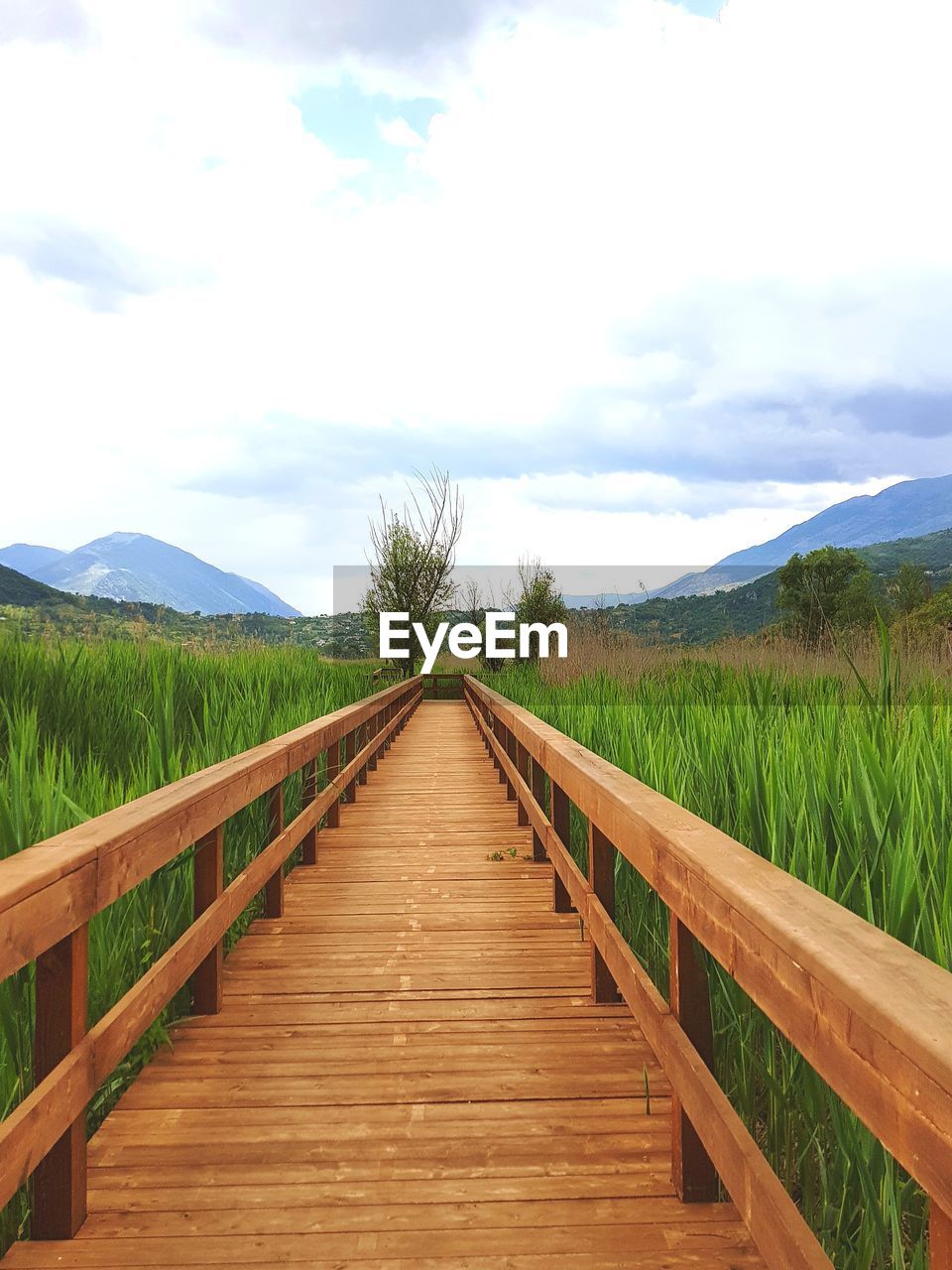 SURFACE LEVEL OF WOODEN WALKWAY LEADING TOWARDS MOUNTAINS