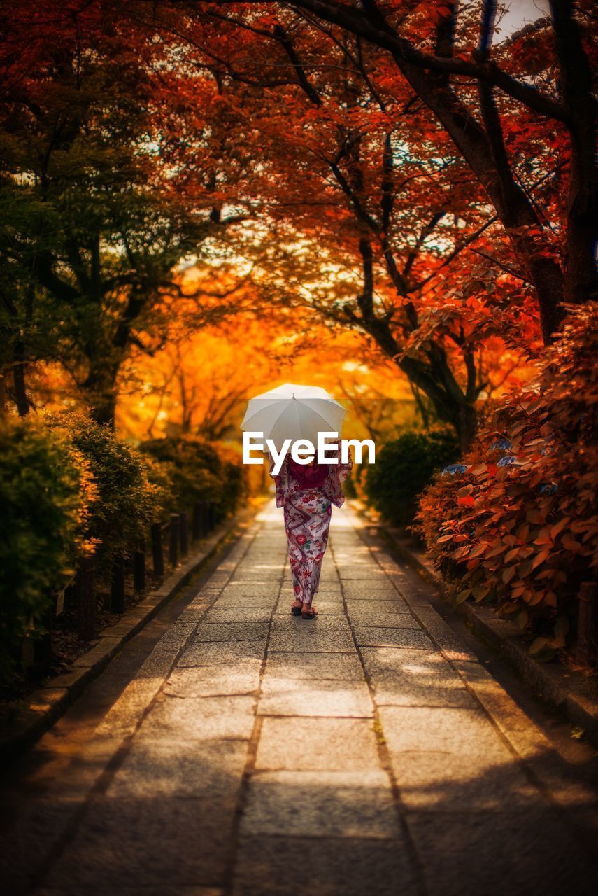 Rear view of woman with umbrella walking on footpath in park during autumn