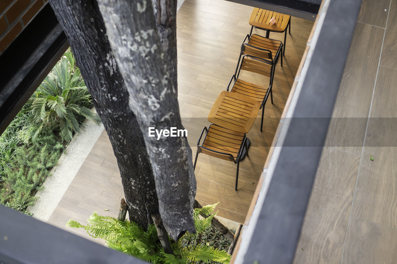 HIGH ANGLE VIEW OF FOOD ON TABLE AGAINST TREE