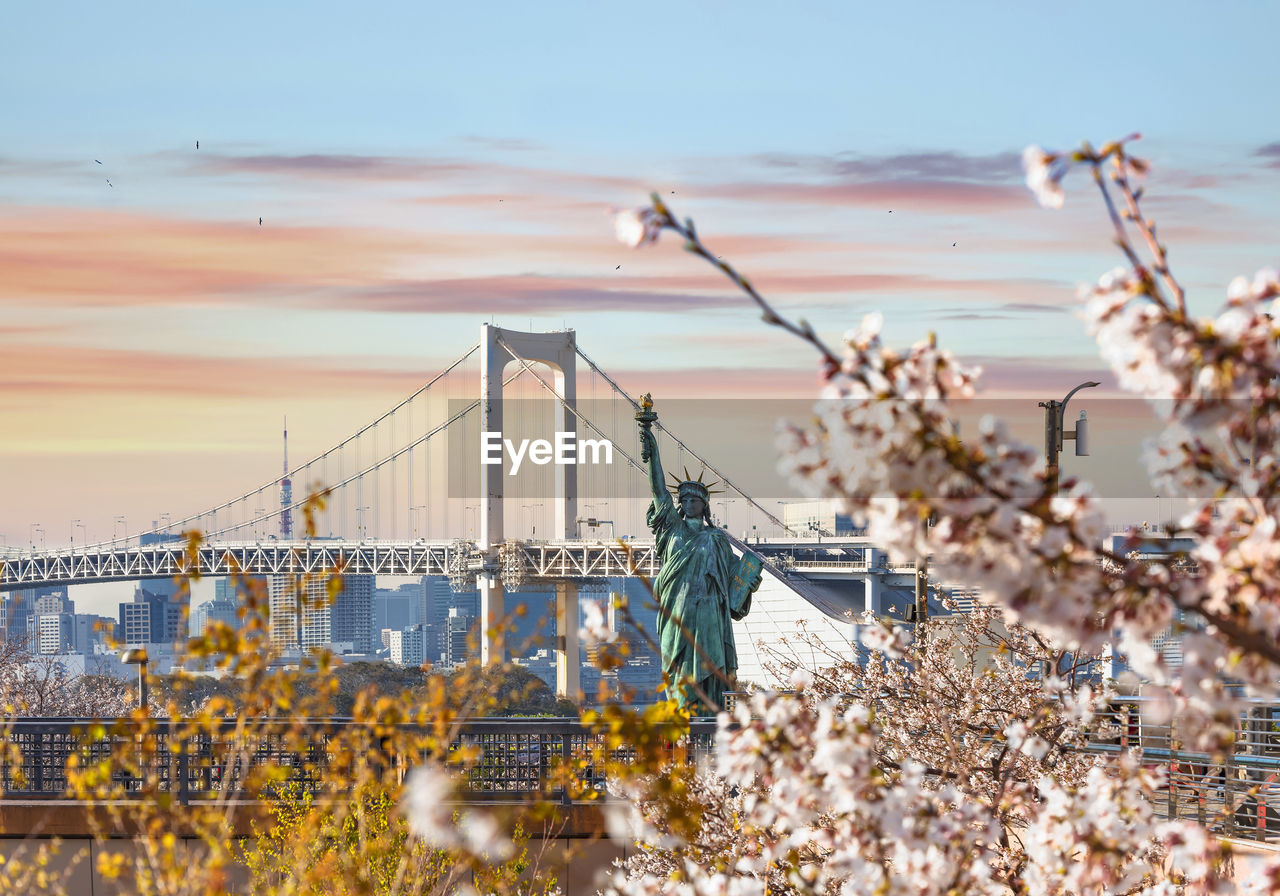 Replica of the french statue of liberty with cherry blossoms in the odaiba seaside park.