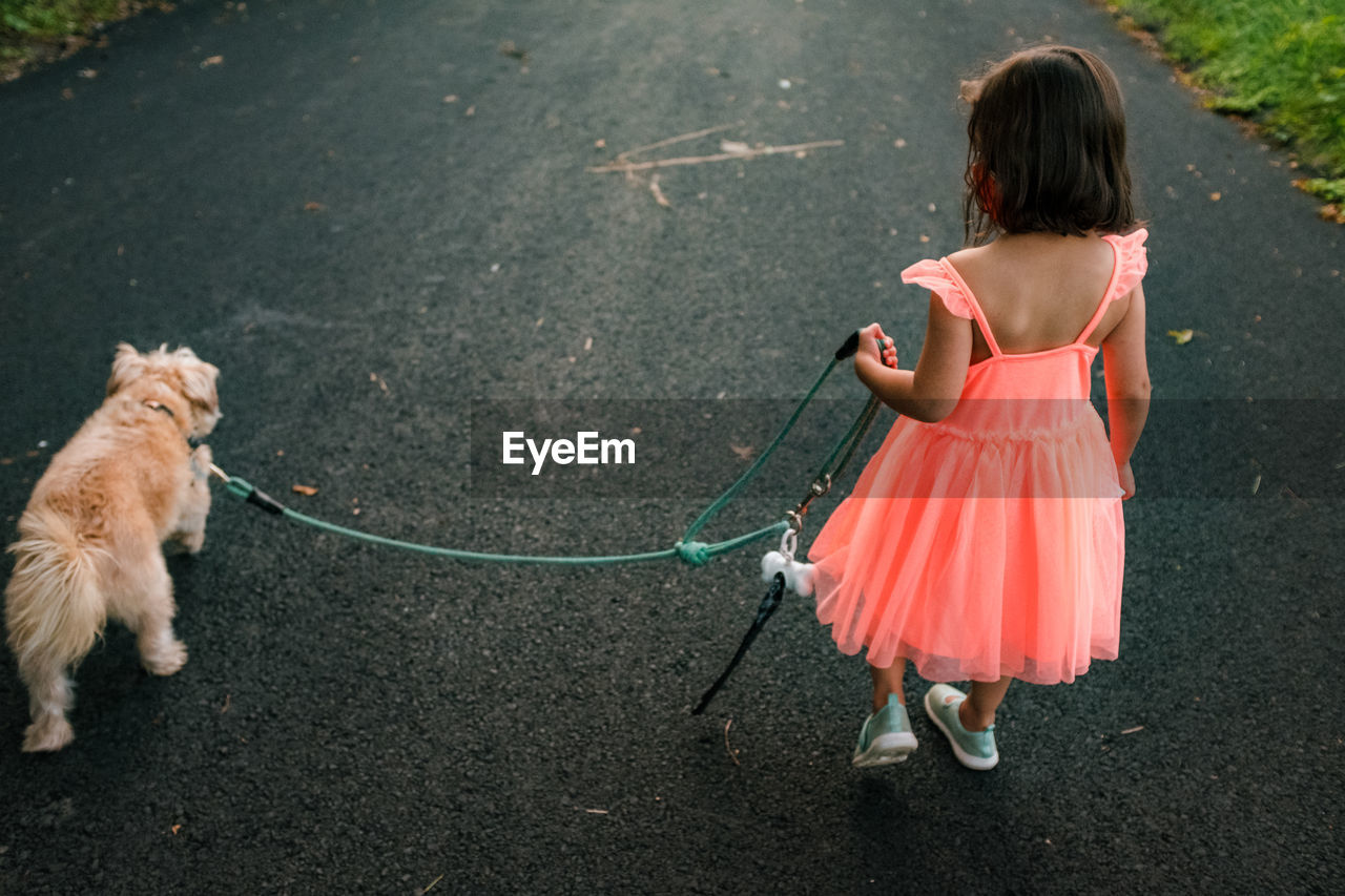 Little girl in orange dress walks dog from behind