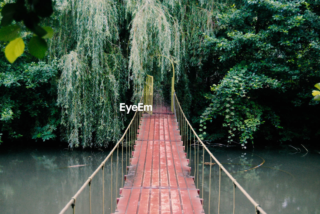 Footbridge over lake against trees in forest