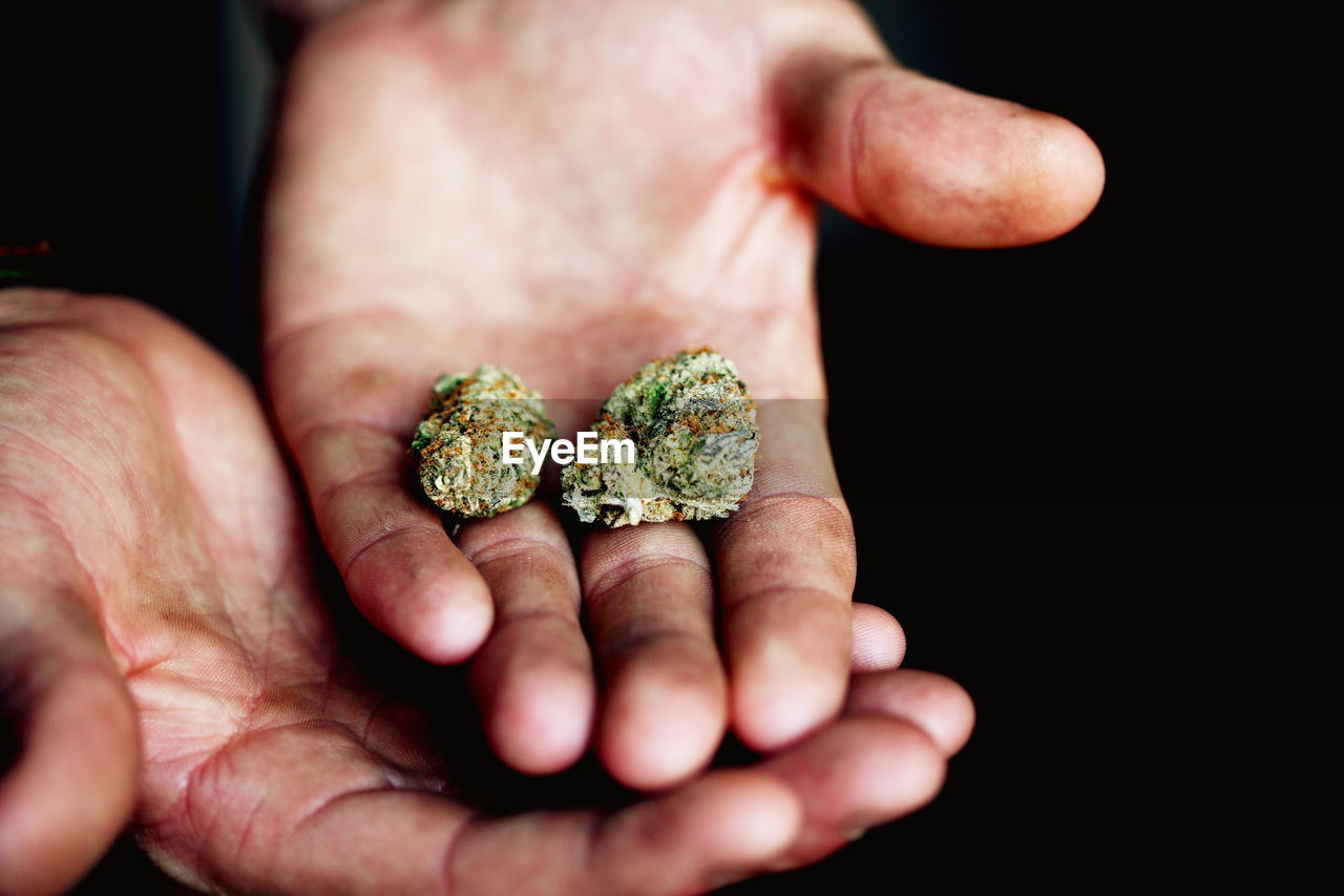 Cropped image of hands holding marijuana
