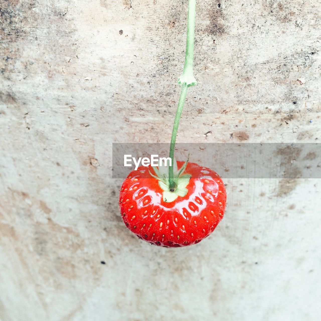 High angle view of strawberry against wall