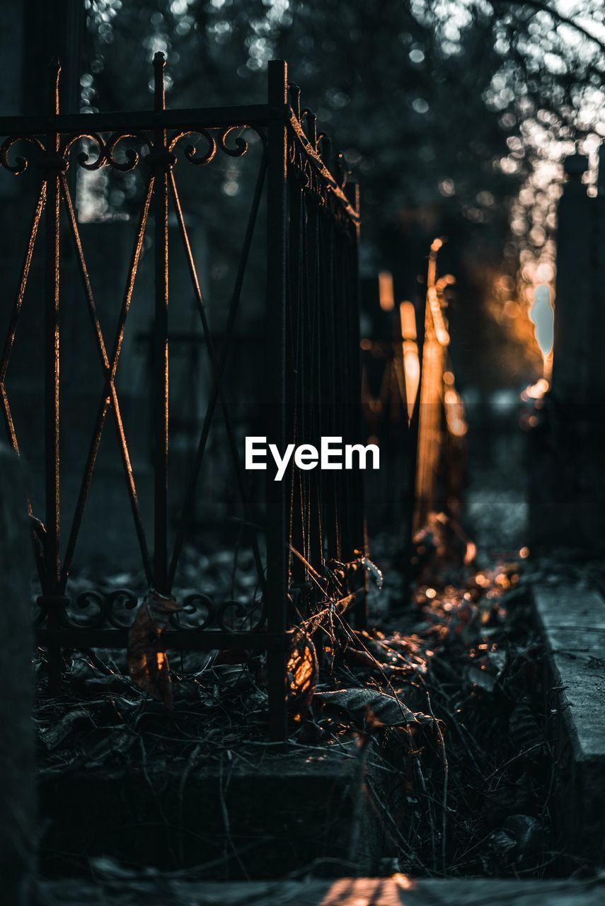 Fence in the old cemetery