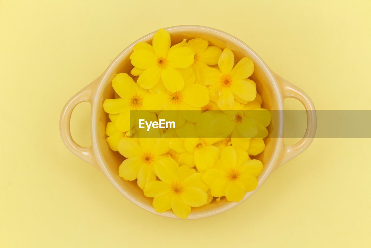 Yellow flowers in a yellow bowl on yellow background