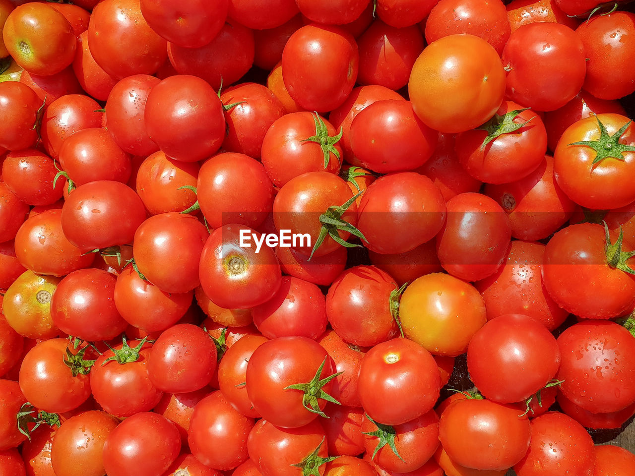 FULL FRAME SHOT OF TOMATOES AT MARKET