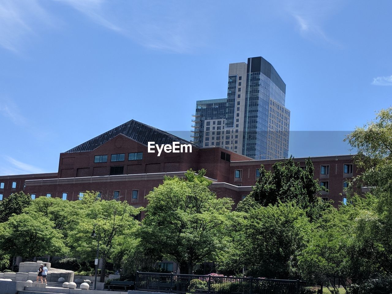 TREES AND BUILDINGS AGAINST SKY