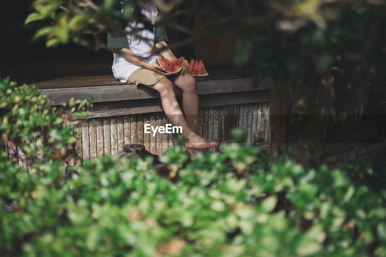 Rear view of child standing amidst plants