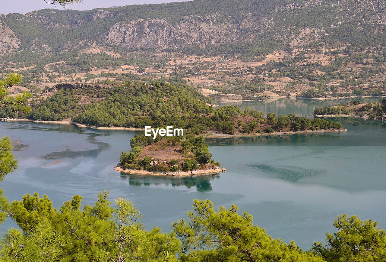 High angle view of lake by trees