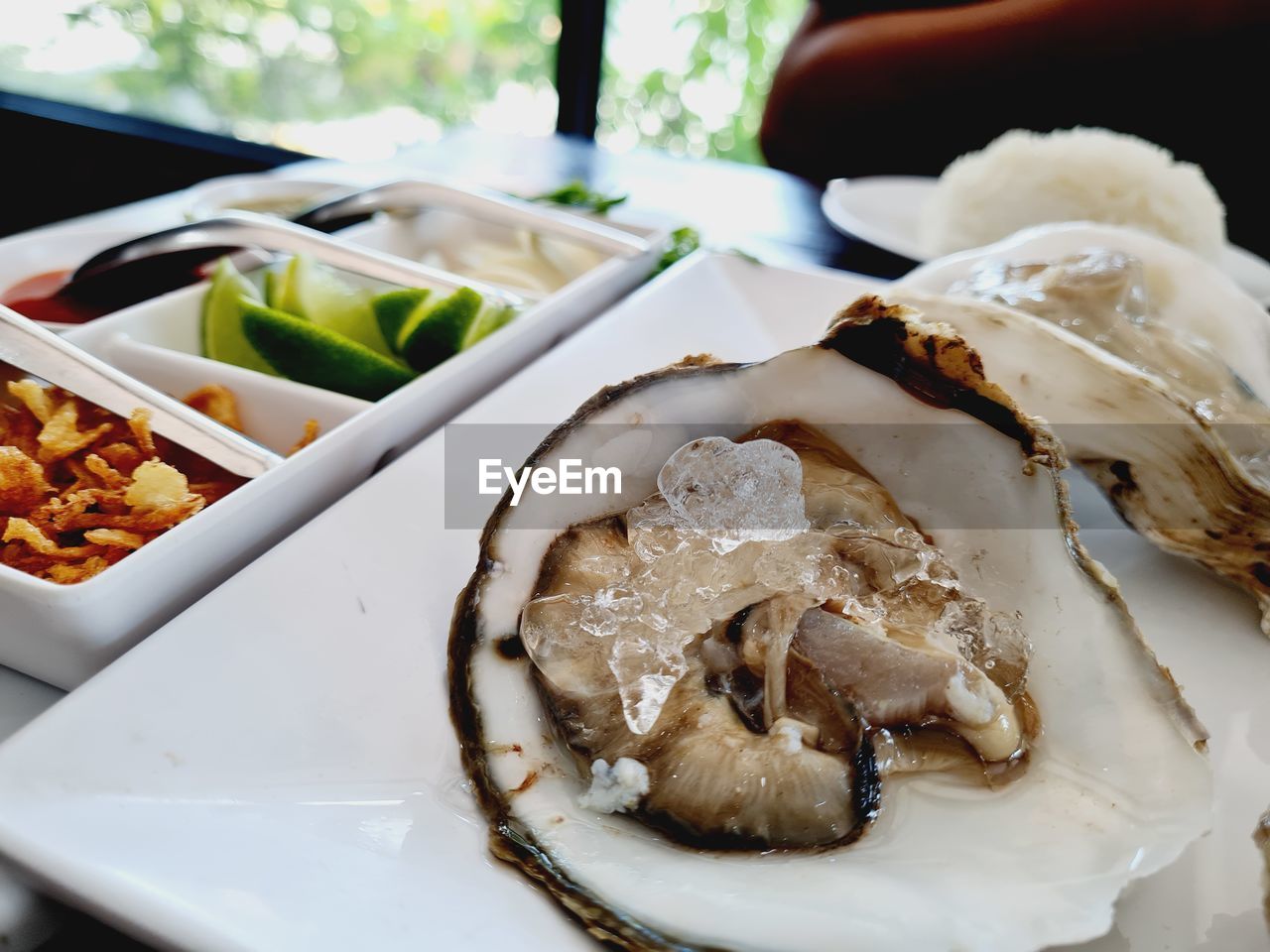 Oyster....high angle view of food in plate